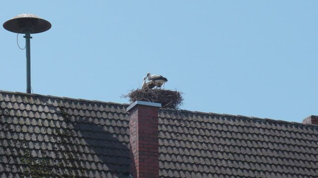 Hoch oben