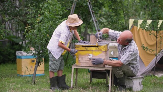 beekeeping, elderly man and boy paint beehive with yellow paint with brushes on a warm day in the garden against the background of green trees