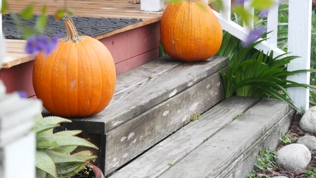 Orange pumpkin halloween decor in front of door in yard. Jack o lantern on stairs, doorstep or doorway. Entrance of house on holiday, California USA. American tradition decorate home on Thanksgiving.