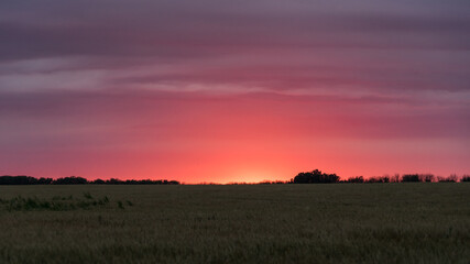 Beautiful sunset over the field. Blagoveshenskaya, Russia.
