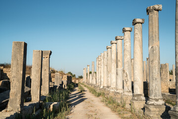 Ruins of the Ancient city of Perge. one of the Pamphylian cities and was believed to have been built in the 12th to 13th centuries BC. Air view, Antalya province, Turkey.