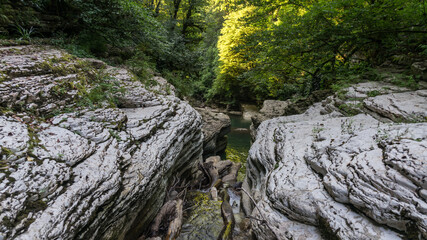 Beautiful forest and mountain river in Psakho canyon, Krasnodar Krai, Russia.