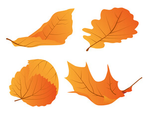 Set of autumn leaves