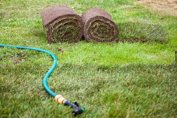 Stack of turf grass roll for lawn