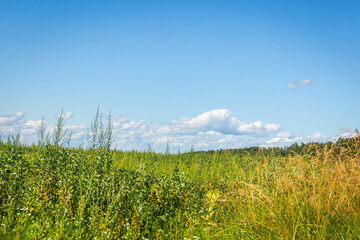 Green grass field and blue sky with beautiful clouds