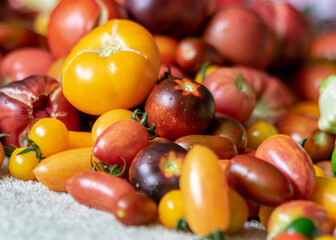color photo with autumn vegetables on the table, different colors, shapes and types of vegetables prepared for home canning, autumn harvest time