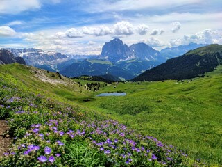 Naklejka na ściany i meble alpine meadow in the mountains, The Dolomites, Italy
