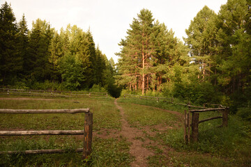 autumn in the park