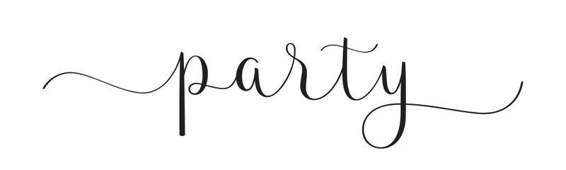 PARTY black vector brush calligraphy banner with swashes on white background