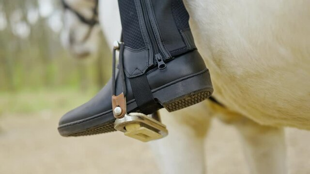 Back view, close up of horsewoman leg in jockey boot at stirrup on white horse, woman jockey gets her boots on before going Dressage horse riding. Morning forest landscape.