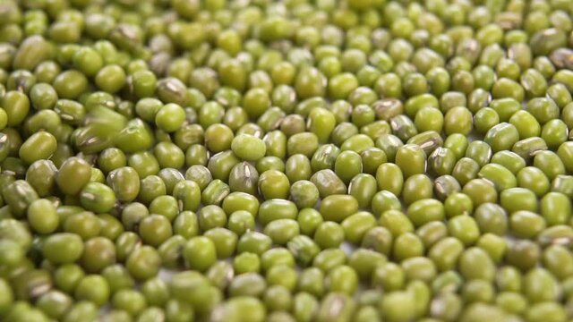 Falling mung beans into a white plate in slow motion. Macro shot. Green raw dry legumes. Vigna radiata