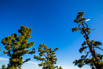 Sunrise in Roque De Los Muchachos in La Palma Island, Canary Islands, Spain