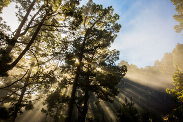 Spring sunset in Caldera De Taburiente Nature Park, La Palma Island, Canary Islands, Spain