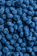 Group of fresh blueberry isolated on a white background.