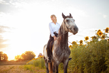 woman rides a gray horse in a field at sunset. Freedom, beautiful background, friendship and love...