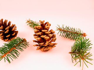 Banner pine cones and branches on a pink background. Nature background. Holiday concept.