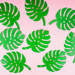 Leaf monstera paper in flat style on pink background. Abstract background. Top view, mockup. Summer concept, flat lay, top view. Tropical fashion.