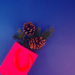 Red gift bag with fir cones on a blue background. Greeting card on white background. Dark background. Nature background. Holiday concept.