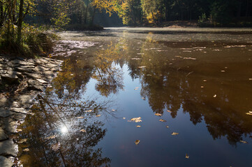 Obraz premium scenic autumnal reflection of sunlight trees and sky in a remote forest lake