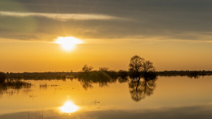 Naklejka na ściany i meble Flooded trees during a period of high water at sunset. Trees in water at dusk. Landscape with spring flooding of Pripyat River near Turov, Belarus. Nature and travel concept.