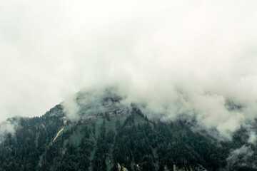 Trees on a hillside in fog and clouds in Entremont, Haute-Savoie, France
