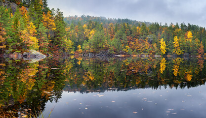 Forest lake  panorama with Autumn foliage and  reflection in a rainy cloudy day . Blurred background. Tokke lake ,Norway
