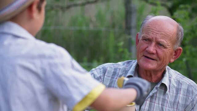 family relationship, elderly loving man teaches his grandson about family business and prepares bee hives for summer season on holidays outside city