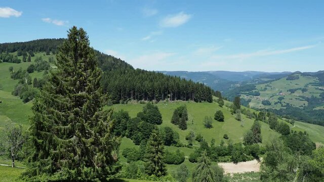 Schwarzwald video. Pfaffenberg und Zeller Bergland. Blick vom Käsern-Tannen am Südhang des Zeller Blauen ins Obere und hintere Wiesental mit den Ortschaften der rechten Fröhnd