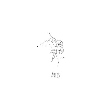 Hand drawing Aries constellation symbol with floral branch and stars. Modern minimalist mystical astrology aesthetic illustration with zodiac signs