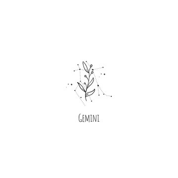 Hand drawing Gemini constellation symbol with floral branch and stars. Modern minimalist mystical astrology aesthetic illustration with zodiac signs
