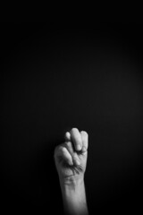 B&W image of hand demonstrating ASL sign language letter N with empty copy space