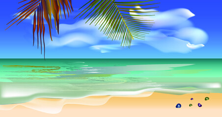 beach with palm trees