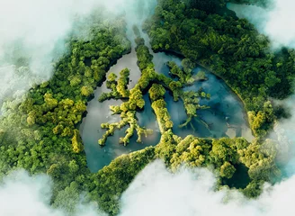 Foto op Canvas A conceptual image showing a lung-shaped lake in a lush and pristine jungle. 3d rendering. © malp
