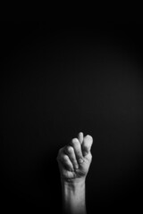 B&W image of hand demonstrating ASL sign language letter T with empty copy space