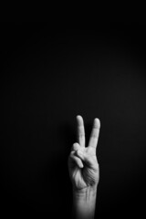 B&W image of hand demonstrating ASL sign language letter V with empty copy space