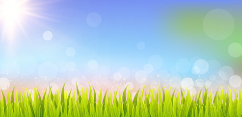 Abstract grass illustration on bokeh background.  Illustrate sky scene.