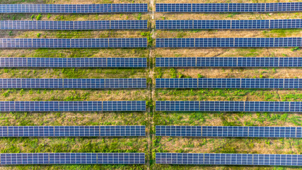 Solar panels in the field. Solar farming in the field. Solar panels farming