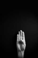 B&W image of hand demonstrating ASL sign language letter B with empty copy space