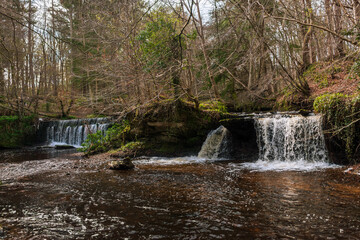 waterfall in the woods