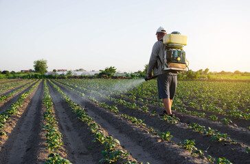 A farmer with a backpack spray sprays fungicide and pesticide on potato bushes. Protection of...