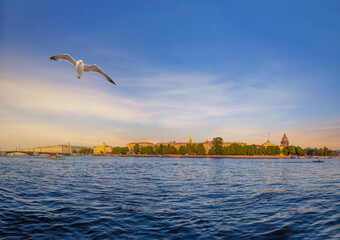 Dawn over the city, St. Petersburg. Russia. View from the water, Admiralty buildings, St. Isaac's Cathedral, Palace Bridge.