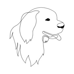 Isolated vector portrait of a Newfoundland dog, line art style