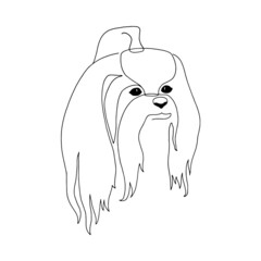 Isolated vector portrait of a Yorkshire Terrier dog, line art style