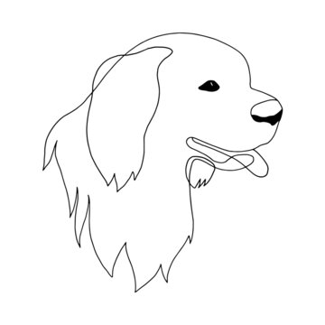 recommend clip art: Isolated vector portrait of a Newfoundland dog, line art style