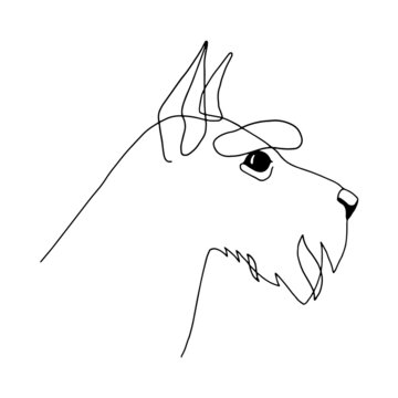 recommend clip art: Isolated vector portrait of a schnauzer dog, line art style