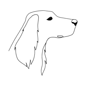 recommend clip art: Isolated vector portrait of a setter dog, line art style