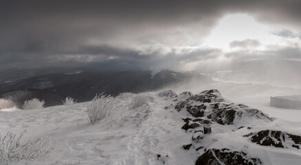 Winter storm at the top of Polonina Wetlinska, view of the winter Bieszczady Mountains, Bieszczady Mountains, Carpathians