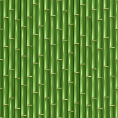 Chinese green bamboo wallpaper