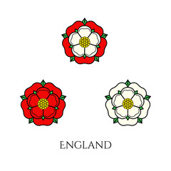 Tudoe rose of Englnd vector illustration.