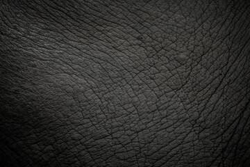elephant skin